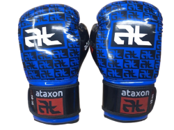 Rukavice ATAXON 10 oz pro taekwon-do ITF a kickbox